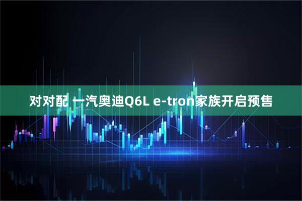 对对配 一汽奥迪Q6L e-tron家族开启预售