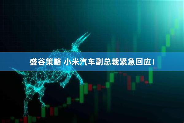 盛谷策略 小米汽车副总裁紧急回应！
