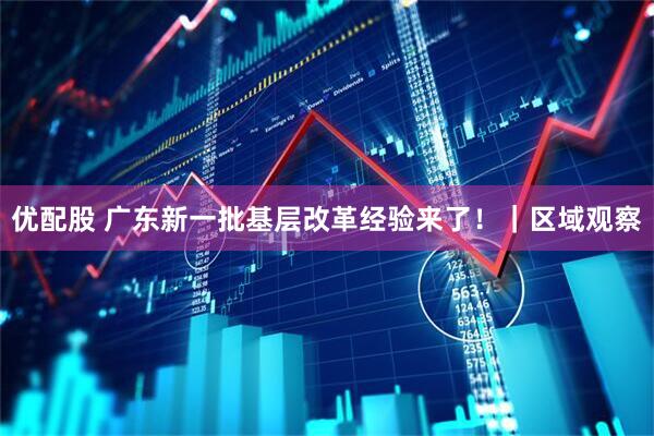 优配股 广东新一批基层改革经验来了！｜区域观察