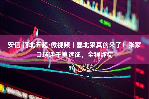 安信 河北五超·微视频｜塞北狼真的来了！张家口球迷千里远征，全程炸街